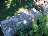 image of grave number 693334